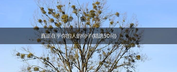 真正在乎你的人的句子(精选50句),第1张
