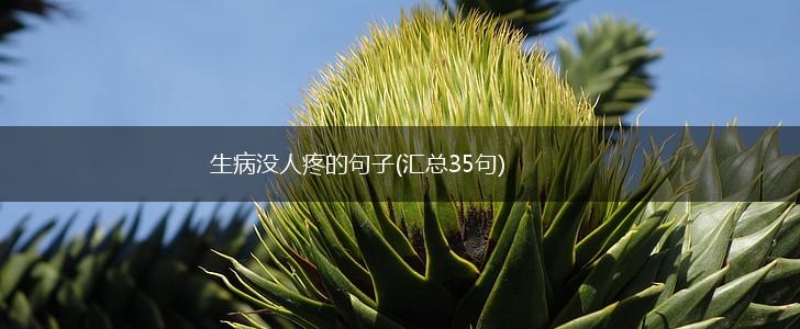 生病没人疼的句子(汇总35句),第1张
