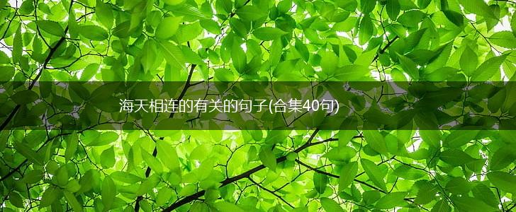 海天相连的有关的句子(合集40句),第1张