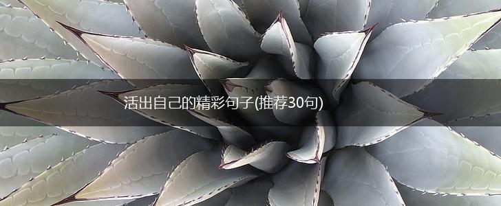 活出自己的精彩句子(推荐30句),第1张