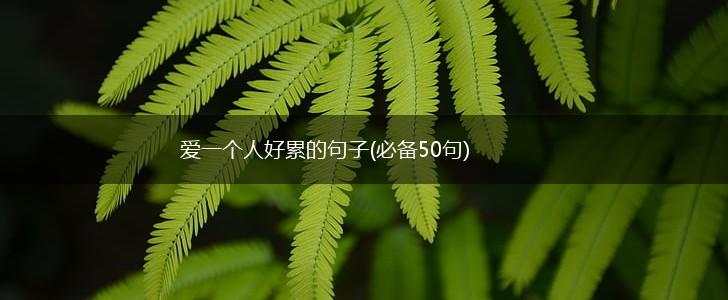 爱一个人好累的句子(必备50句),第1张