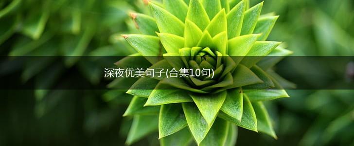深夜优美句子(合集10句),第1张