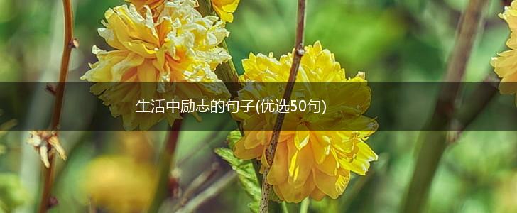 生活中励志的句子(优选50句),第1张