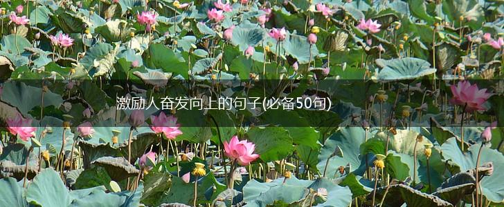 激励人奋发向上的句子(必备50句),第1张