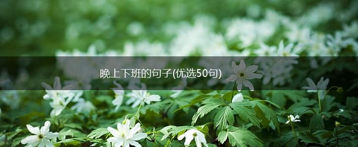 晚上下班的句子(优选50句),第1张