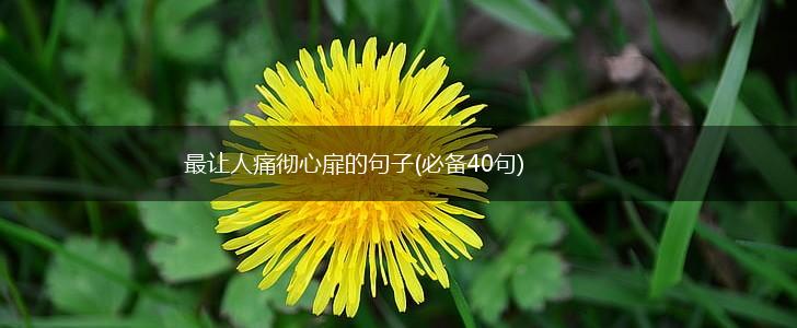最让人痛彻心扉的句子(必备40句),第1张