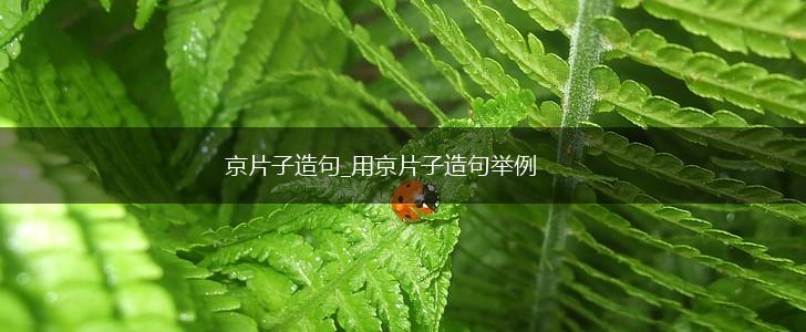 京片子造句_用京片子造句举例,第1张
