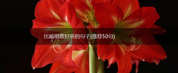 比喻唱歌好听的句子(推荐50句),第1张