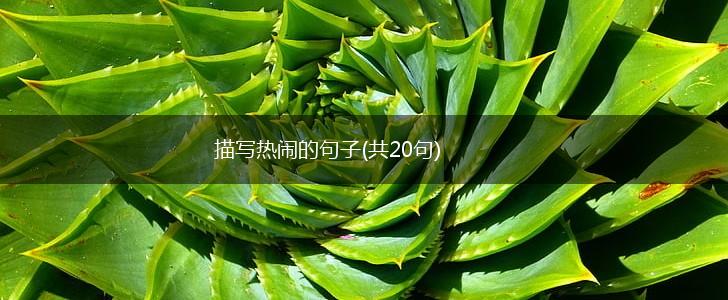 描写热闹的句子(共20句),第1张