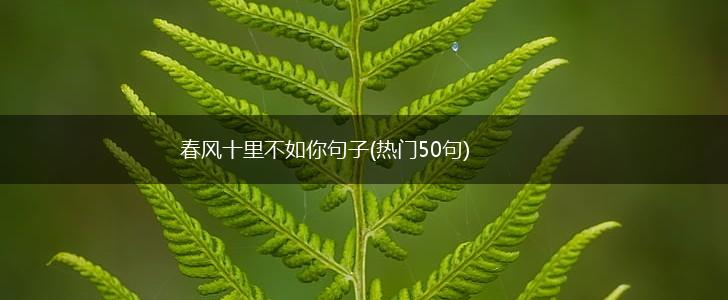 春风十里不如你句子(热门50句),第1张