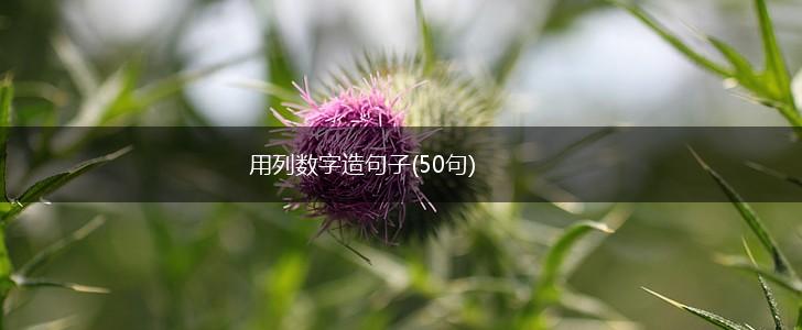 用列数字造句子(50句),第1张