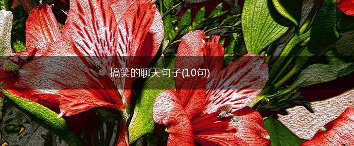 搞笑的聊天句子(10句),第1张