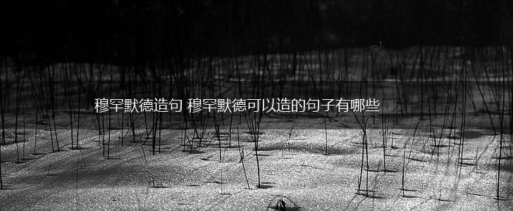 穆罕默德造句 穆罕默德可以造的句子有哪些,第1张