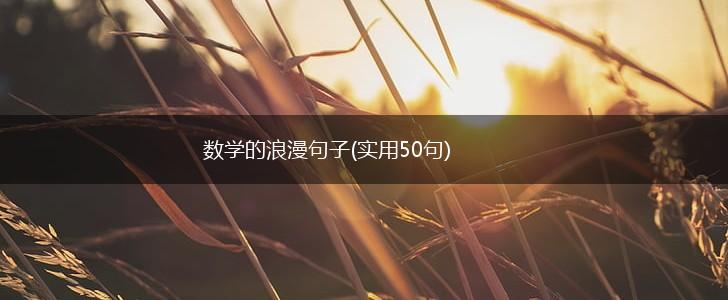 数学的浪漫句子(实用50句),第1张