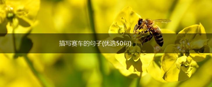 描写赛车的句子(优选50句),第1张