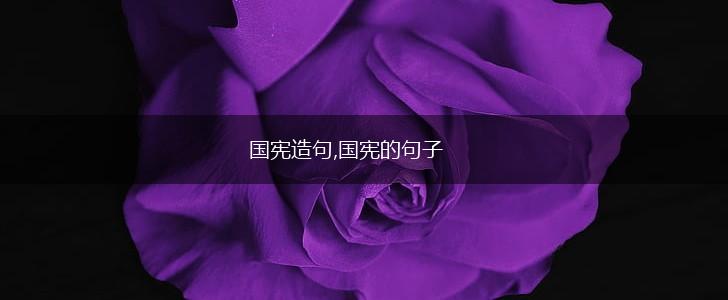 国宪造句,国宪的句子,第1张