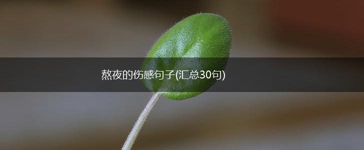 熬夜的伤感句子(汇总30句),第1张