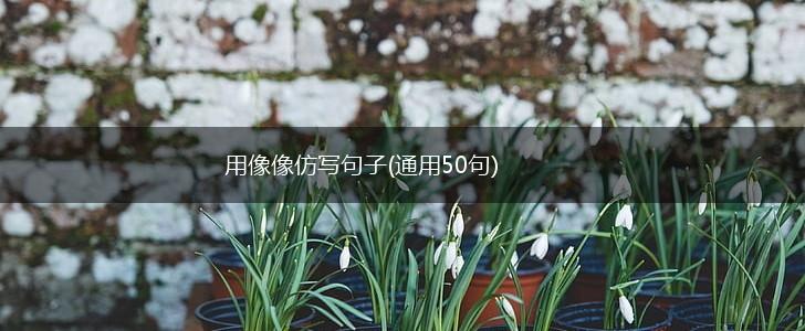 用像像仿写句子(通用50句),第1张
