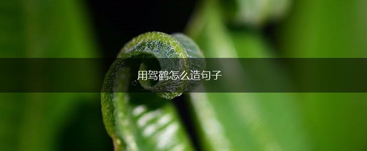 用驾鹤怎么造句子,第1张 用驾鹤怎么造句子,第1张