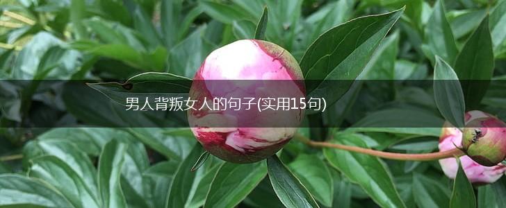 男人背叛女人的句子(实用15句),第1张