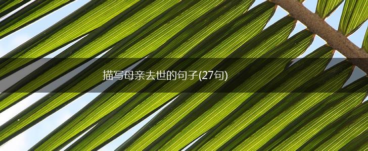 描写母亲去世的句子(27句),第1张