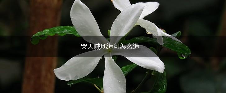 哭天喊地造句怎么造,第1张