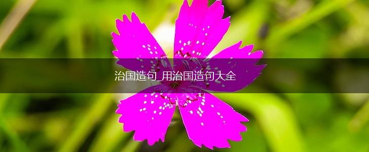 治国造句_用治国造句大全,第1张 治国造句_用治国造句大全,第1张