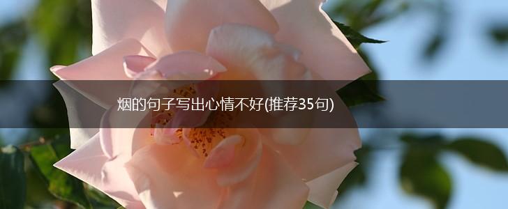 烟的句子写出心情不好(推荐35句),第1张