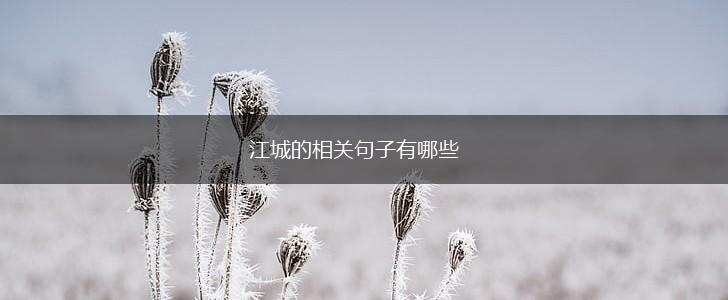 江城的相关句子有哪些,第1张 江城的相关句子有哪些,第1张