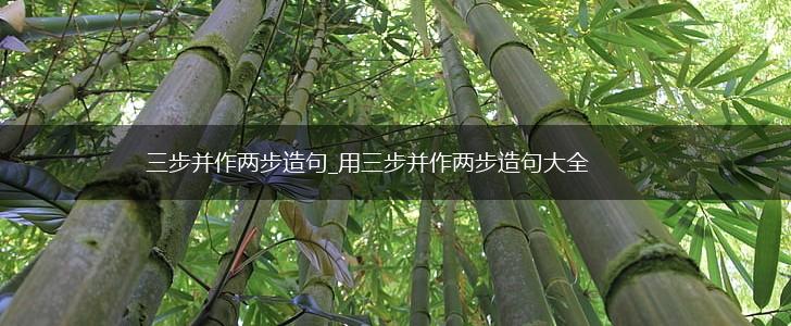 三步并作两步造句_用三步并作两步造句大全,第1张