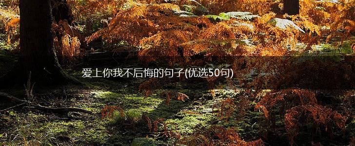 爱上你我不后悔的句子(优选50句),第1张