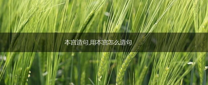 本宫造句,用本宫怎么造句,第1张 本宫造句,用本宫怎么造句,第1张