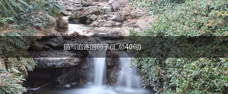 描写追逐的句子(汇总40句),第1张