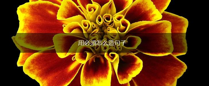 用必須怎么造句子,第1张 用必須怎么造句子,第1张