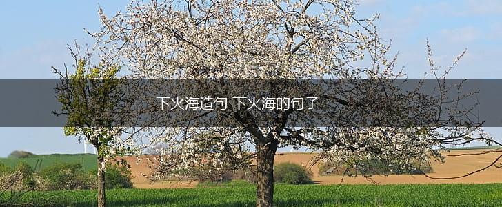 下火海造句 下火海的句子,第1张