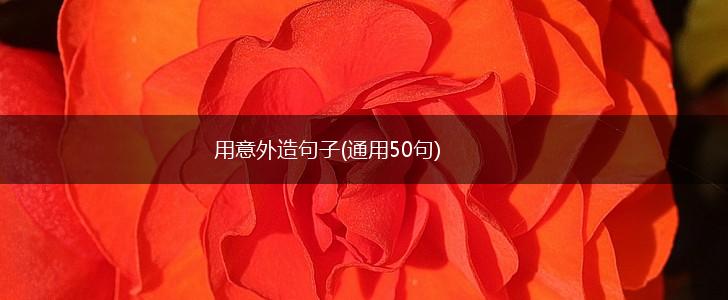 用意外造句子(通用50句),第1张