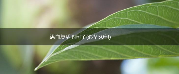 满血复活的句子(必备50句),第1张