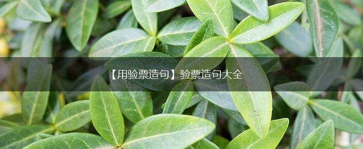 【用验票造句】验票造句大全,第1张