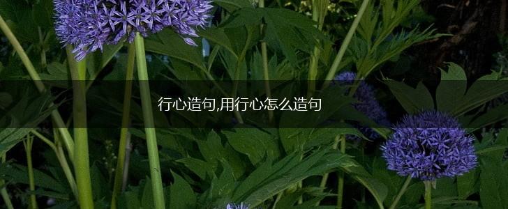 行心造句,用行心怎么造句,第1张