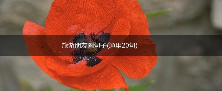 旅游朋友圈句子(通用20句),第1张