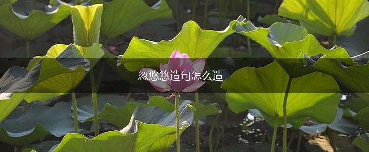 忽悠悠造句怎么造,第1张