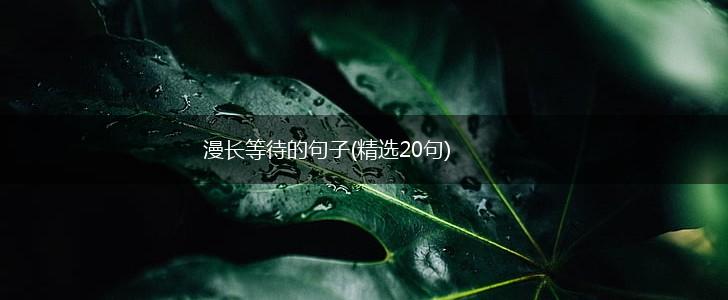 漫长等待的句子(精选20句),第1张