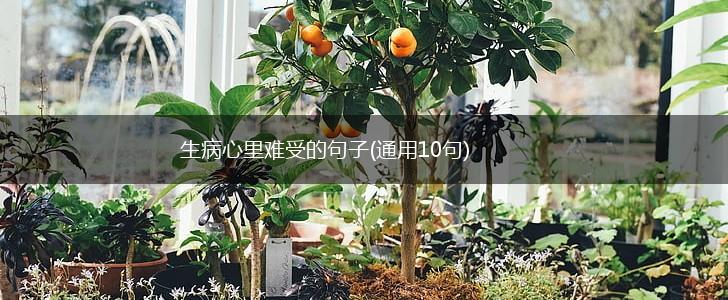 生病心里难受的句子(通用10句),第1张