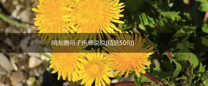 朋友圈句子伤感说说(精选50句),第1张