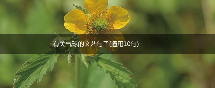 有关气球的文艺句子(通用10句),第1张