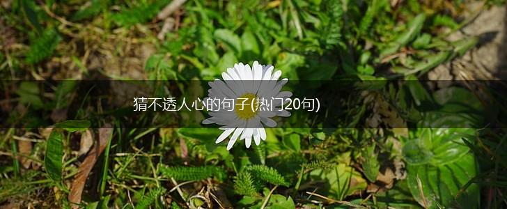 猜不透人心的句子(热门20句),第1张