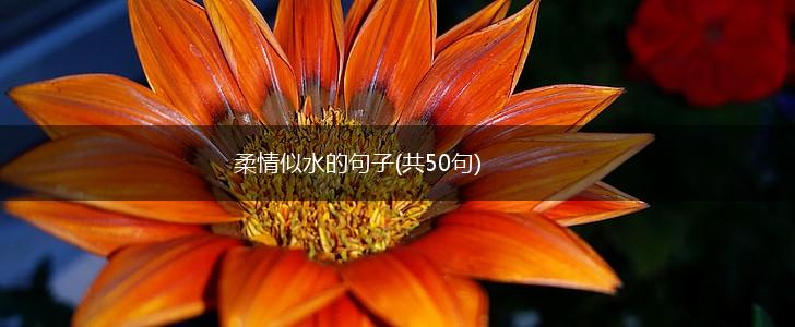 柔情似水的句子(共50句),第1张