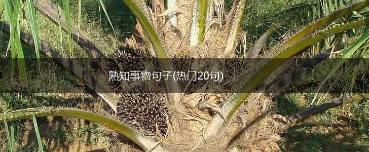 熟知事物句子(热门20句),第1张