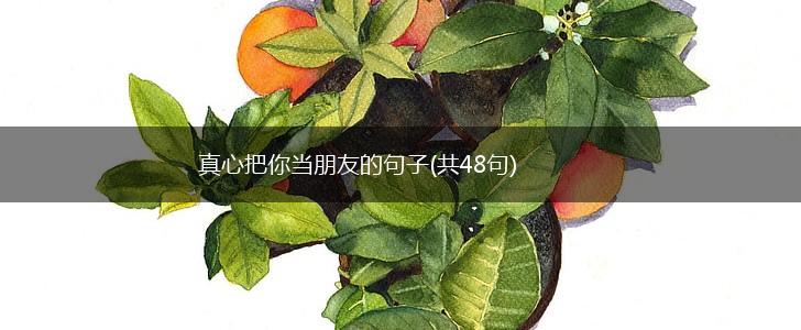 真心把你当朋友的句子(共48句),第1张