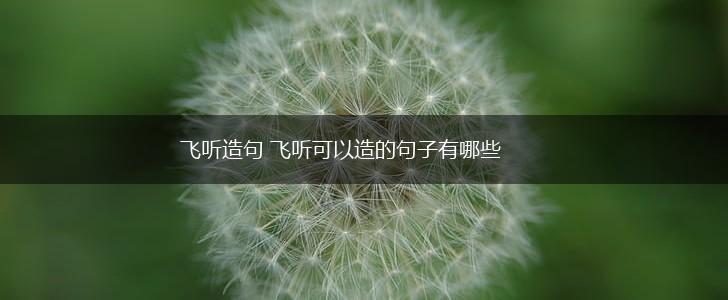 飞听造句 飞听可以造的句子有哪些,第1张